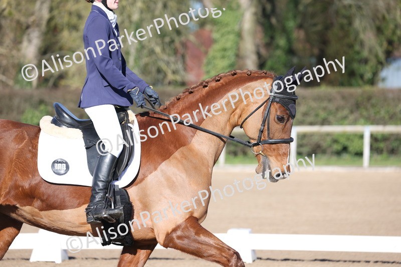 20260214-0251 - Class 3 - Prelim 2