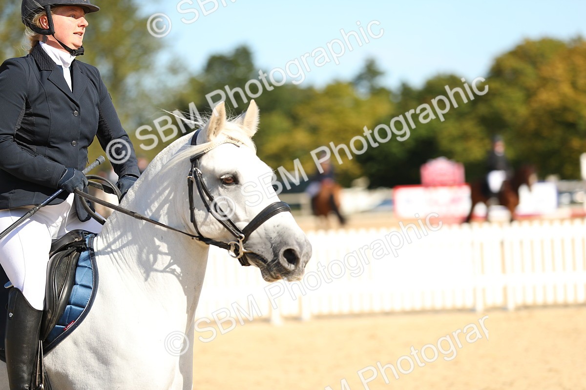 SBM_17716 - J33 - Senior 75cm Championship