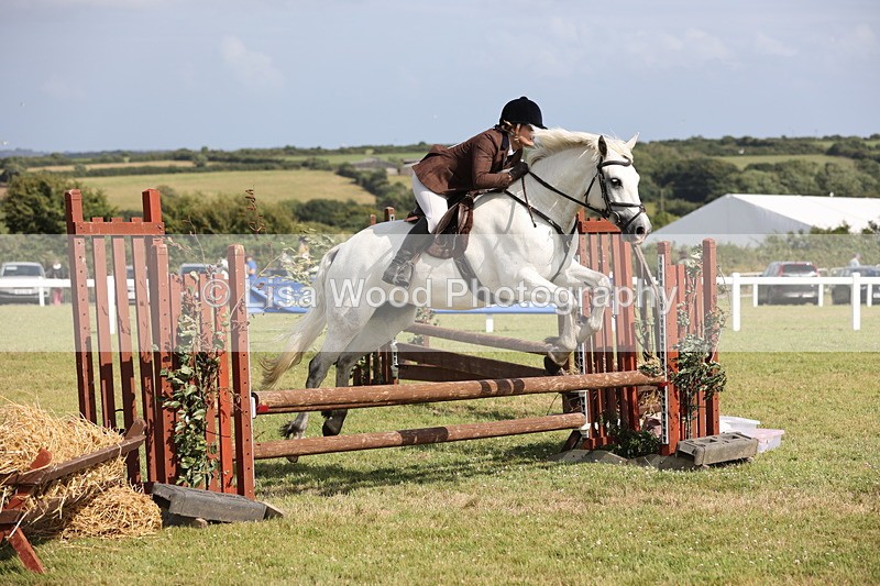 JPP_2577 - Class 20: Working Hunter 70cm