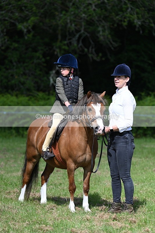 WJ7_0785 - Class 8 First Rally Pony