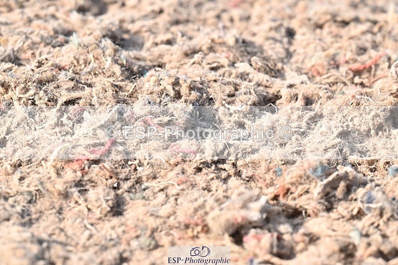 250621-174856-12419 - Cls 36 - Adv Medium 6