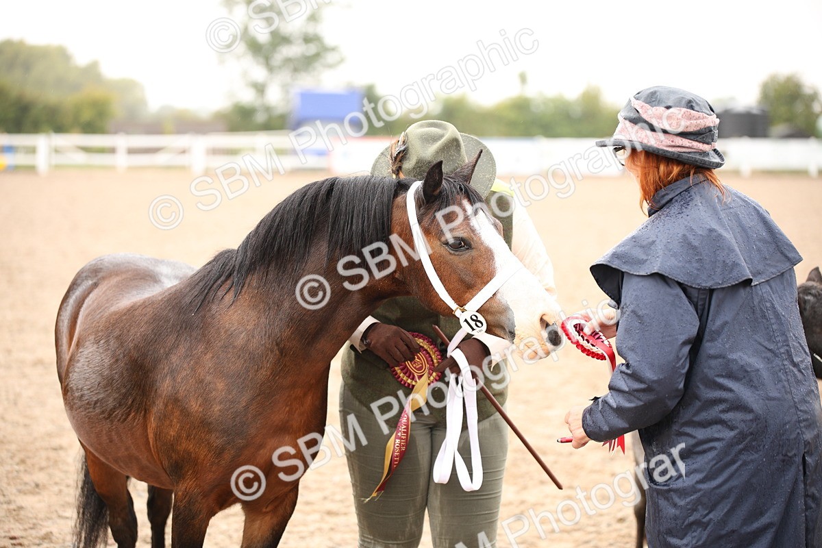 SBM_20257 - Class 704 - IH Rescue