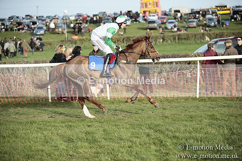 PtP 230319 517 - VWH Hunt Siddington Point-to-Point Racing 23/03/19