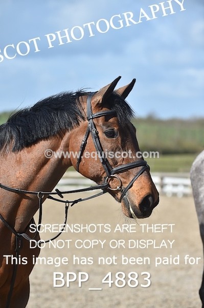 BPP_4883 - CLASS 12 BritiNovice/ 90cm Open