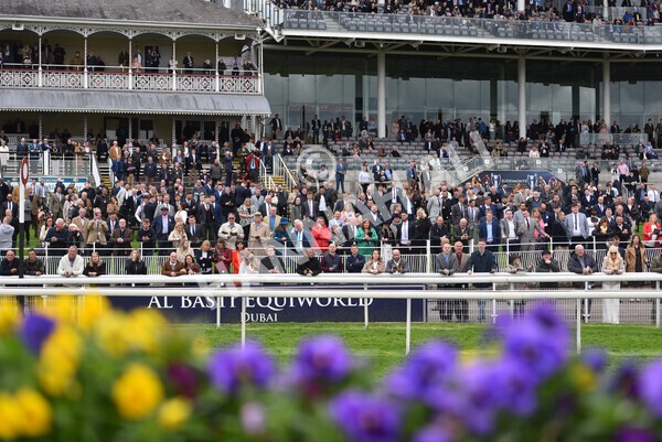 yr22052021r1-22 - Race 1 2.05pm William Hill Pick Your Places Stakes
