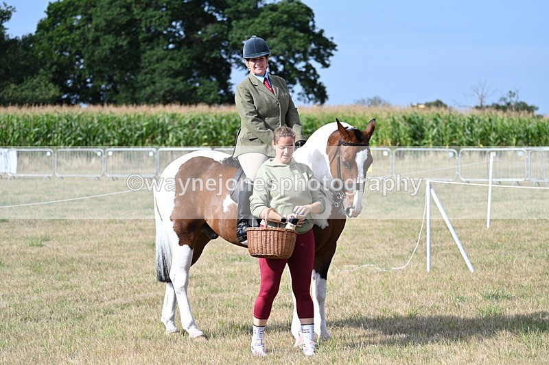 WJ7_2639 - Class 8 Ridden Tack & Turnout