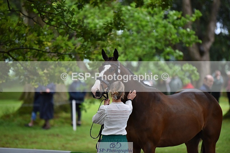 240522-163632-01043 - 214-DSH_GOLDEN_EYE-Lucinda_Mesquita