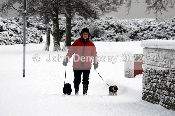 December Snow 1 - Walking the Dog