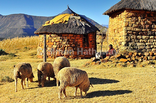  - Lesotho