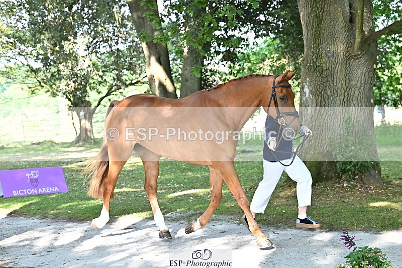 250521A-164858-01350 - C-263-Gini.Hope-PETER.PAN