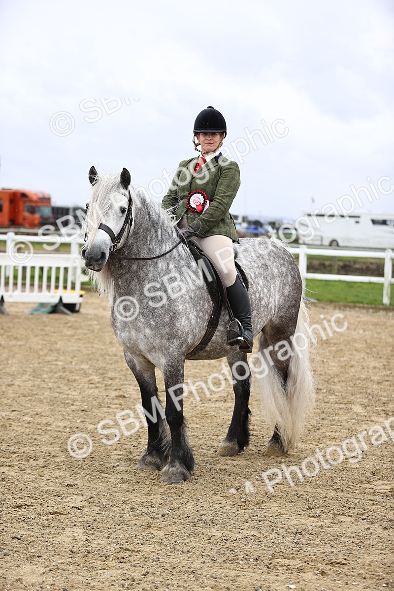 SBM_007606 - Class 31-32 - M&M Confined Novice Small-Large