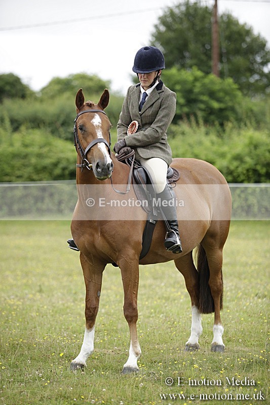 BVR160717-1062 - Ring 1 BVRC Show 16/07/17