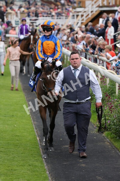 yr19082021r4-24 - Race 4 3.35pm Darley Yorkshire Oaks (British Champions Series race)