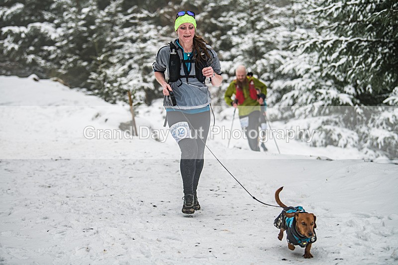 Glentress-740 - High Terrain Events Glentress 42, 21 & 10K Trail Races Sunday 15th February 2026