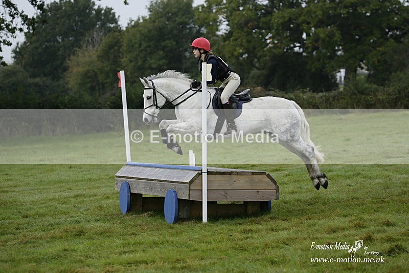 WWHT 171021 0226 - Novice Restricted (0.80m)  17/10/21