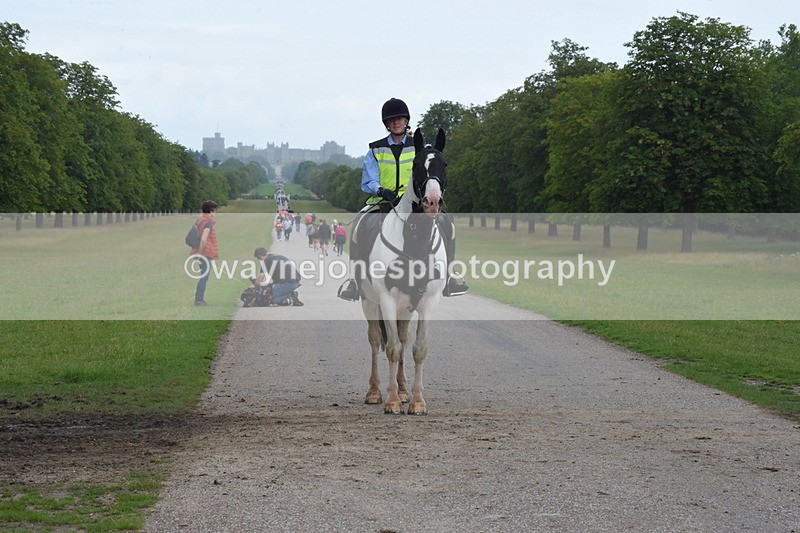 TT3_0164 - Time at Crossing 13:17 to 14:48