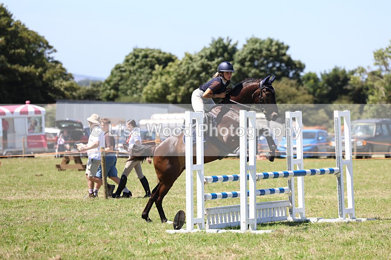 3E7A5683 - Class 9: Senior British Novice/90cm open