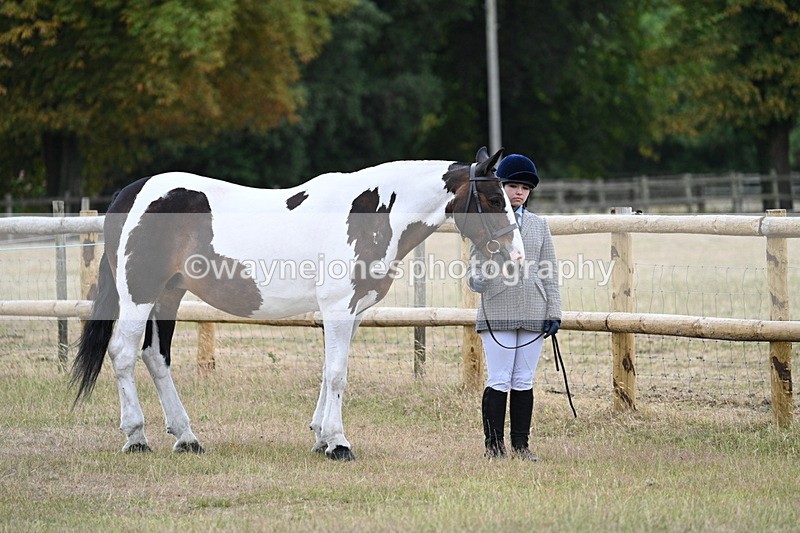WJ7_8842 - Class 4a Prettiest Mare 14.2hh and over