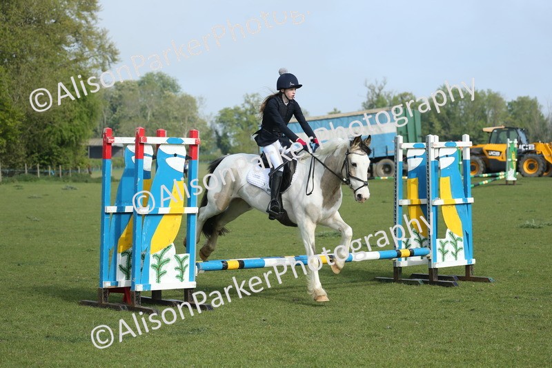 20260426-0053 - Class 13 - Rookie Jumping 50cm