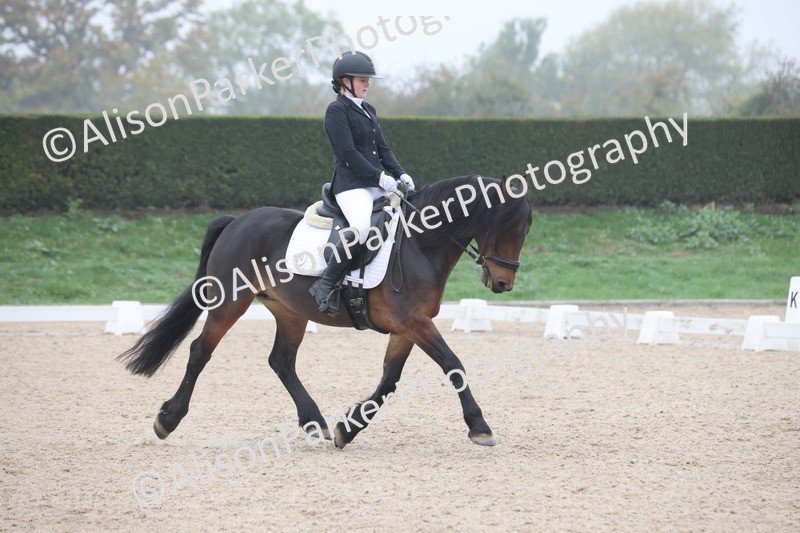 20251012-0440 - Class 3 - Novice 5