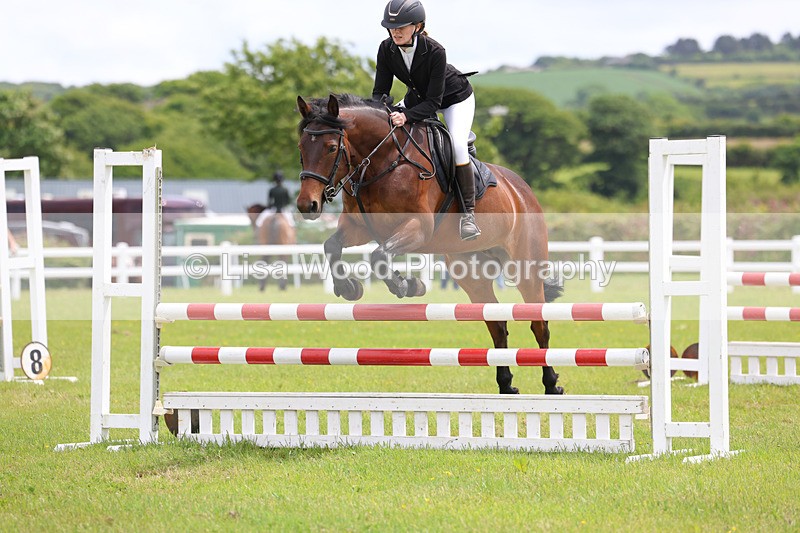 3E7A7254 - Class 13: Senior British Novice/90cm open