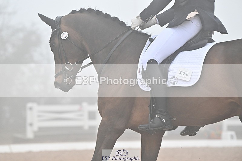 240217A-140842-03357 - 256-Bradley.Moore-Taylor-Ouyuan