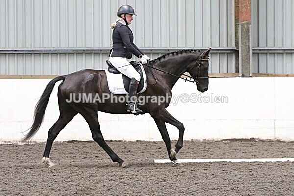 SIAL5345 - CAbin Dressage 5th july 2025