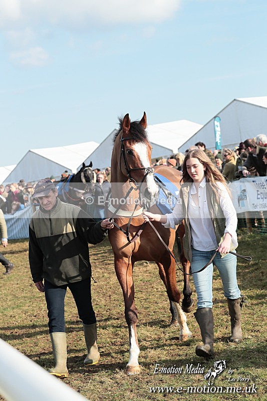 PtP 010325 390 - Beaufort Races Didmarton 01/03/25