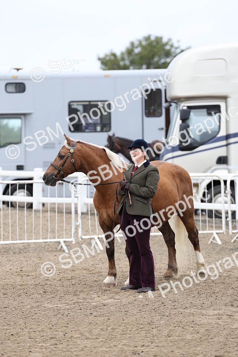 SBM_00074 - Class 50 - Best Turned Out IH