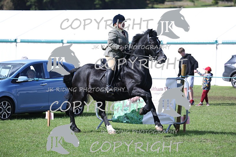 APP_3530 - Class 12 M&M ridden