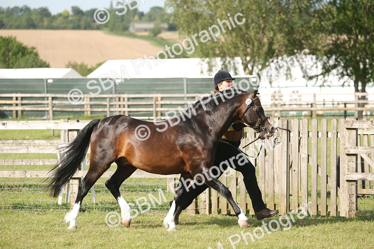 SBM_10346 - Class 33-38 - SSADL RIHS Qualifiers