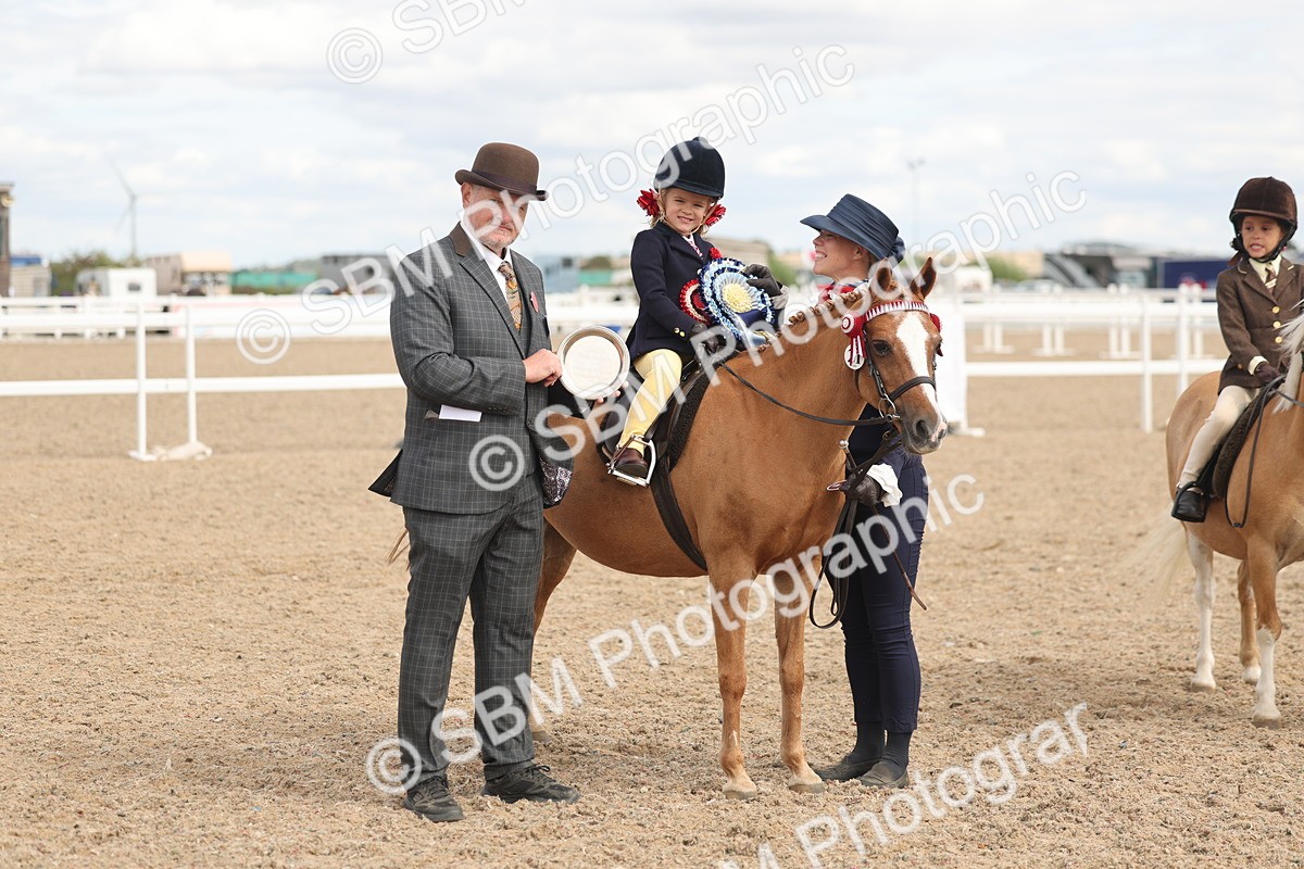 SBM_15825 - Class 309 - Lead Rein Pony