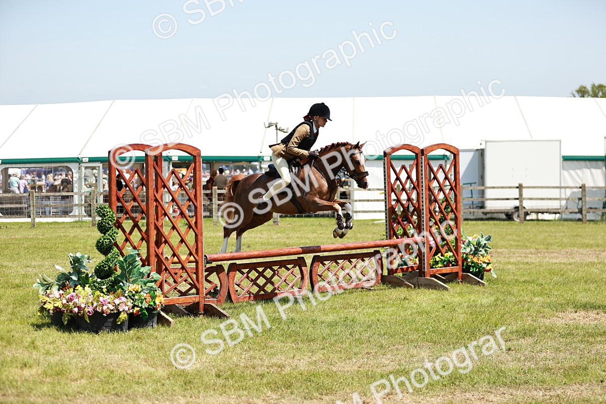 SBM_15636 - Class 108-109 - BSPS LIHS Open Gradle & Nursery Stakes