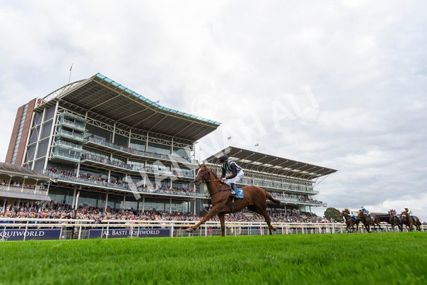 230923-Race 2-Palamon-3195 - Race 2 2.35pm jigsawsportsbranding.co.uk Handicap