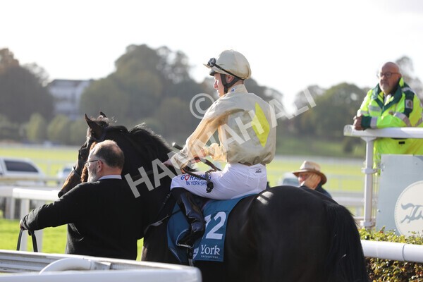 yr07102022r5-11 - Race 5 4.25pm Copper Knight Winningmost Horse Stakes