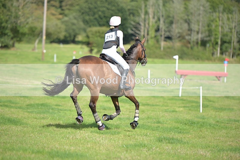 RAY_8918 - Class 2: Trekenning Open: Wall