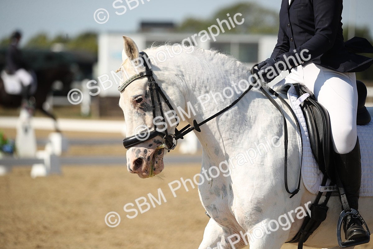 SBM_004219