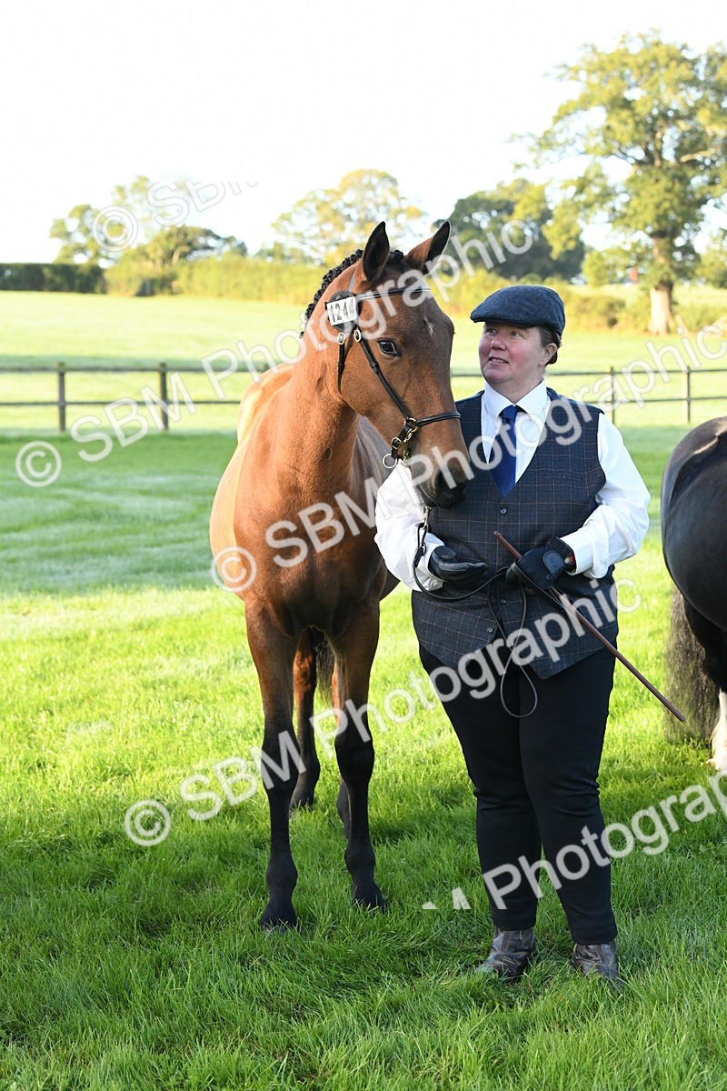 SBM_32670 - S15 - Condition & Turnout In Hand