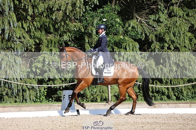 230526-172002-07952 - 177-ARGENTINO_BK-Dani_Evans-WEDTrotUp+DR