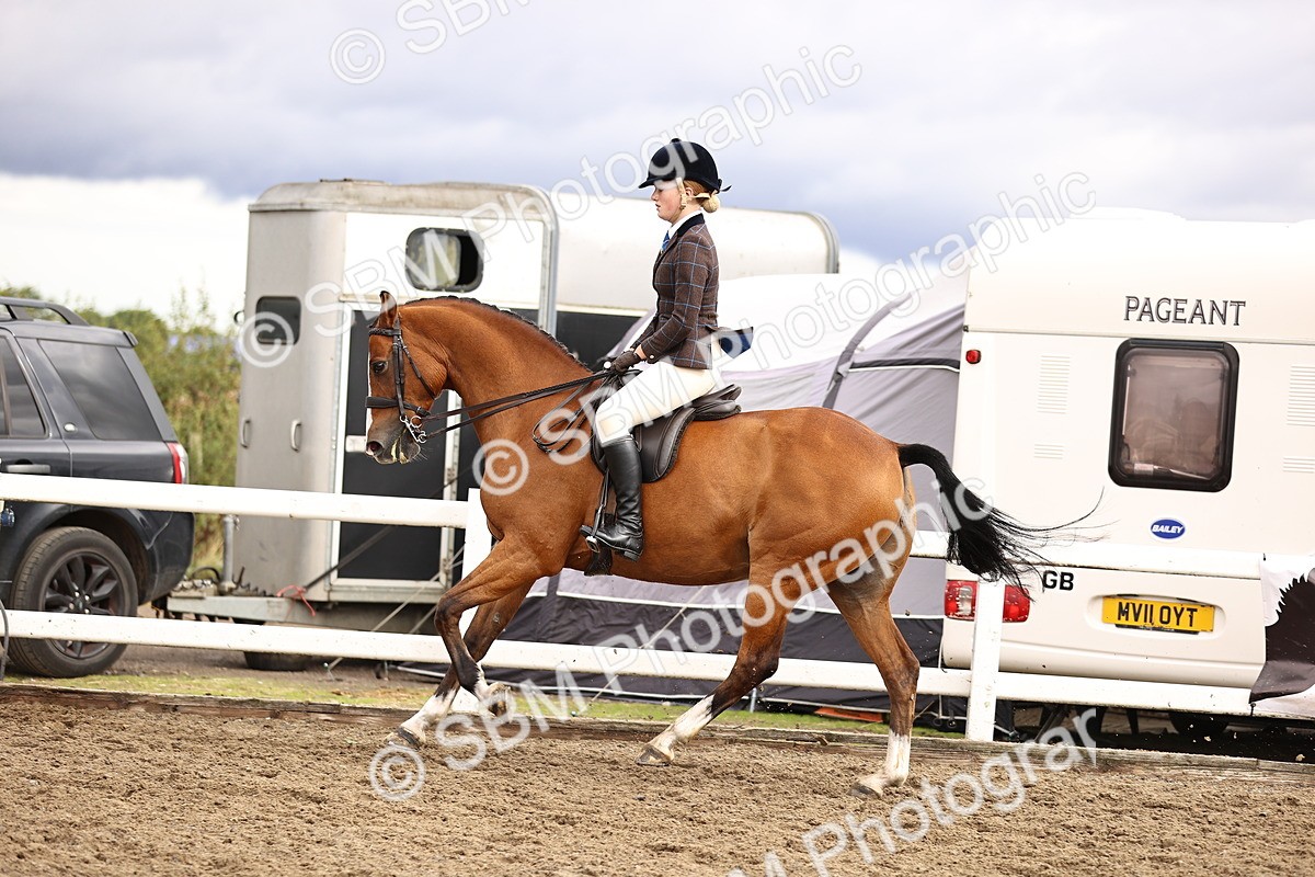 SBM_00594 - Class 53 - Ridden Competition Horse Pony