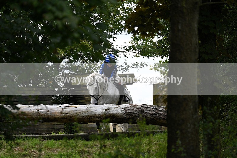 WJ7_8265 - Time 14:11 to 14:30