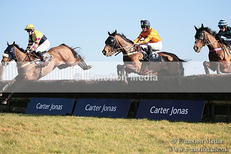 PtP 230219 420 - Vine & Craven Point-To-Point - Barbury 23/02/19