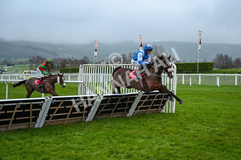 131224-Race 7-Might I-0159 - Race 7