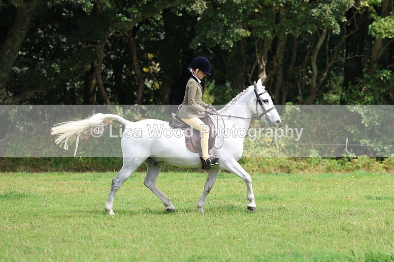 3E7A5841 - Class 26 and 27: 70cm Working Hunter