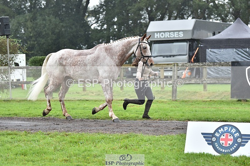 231018-122838-00321 - 038-IRISH.KONNECTION-Natasha.Anson-TrotUp