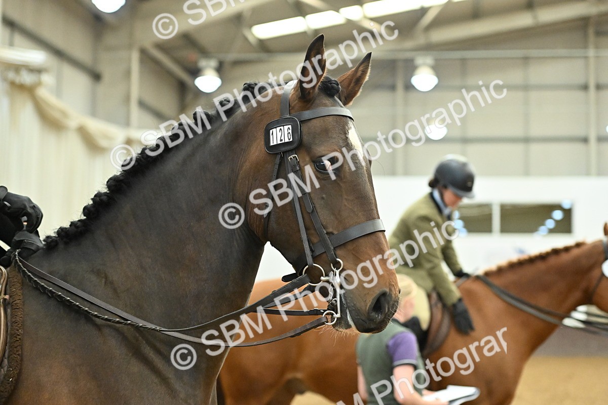SBM_002068 - Class 23 - BSHA Ridden Show Hunter