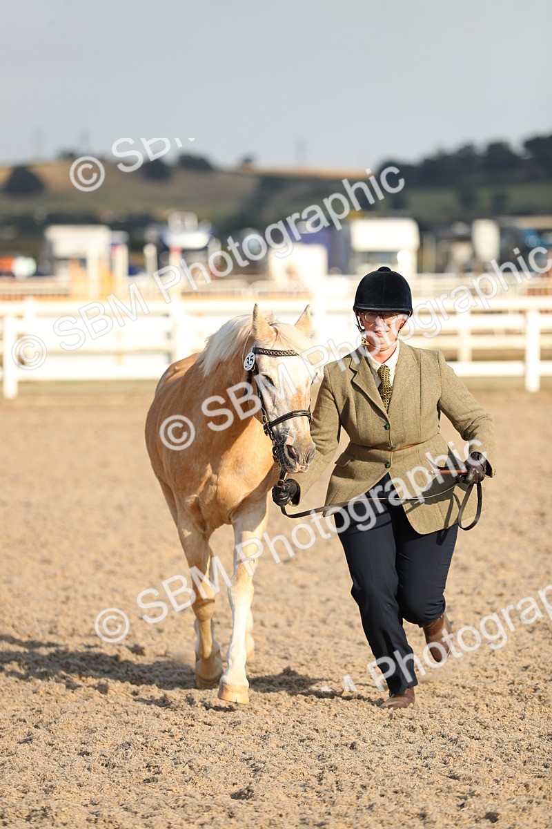 SBM_08959 - Class 29 IH Veteran Pony