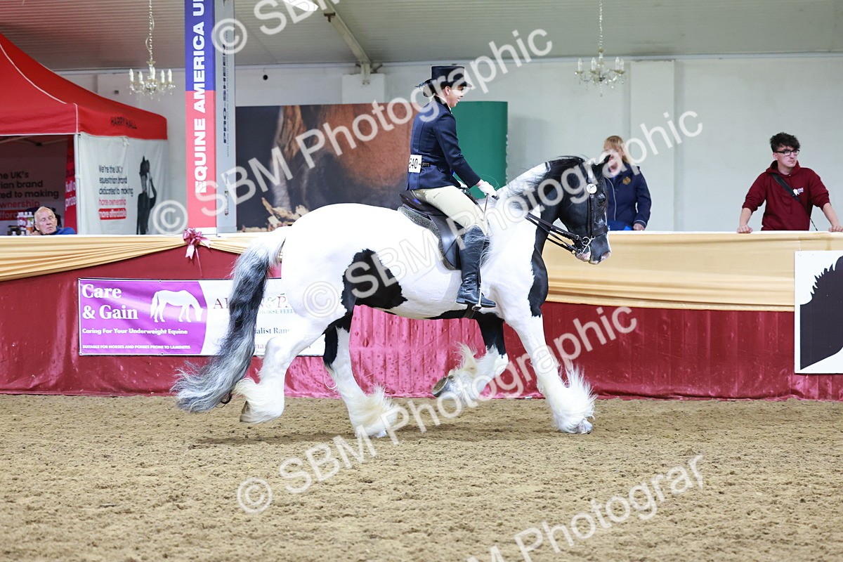 SBM_20152 - Class C - Novalty Champ