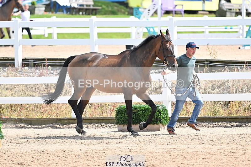 240717A-150133-02456 - Trot Up 3pm to 4pm