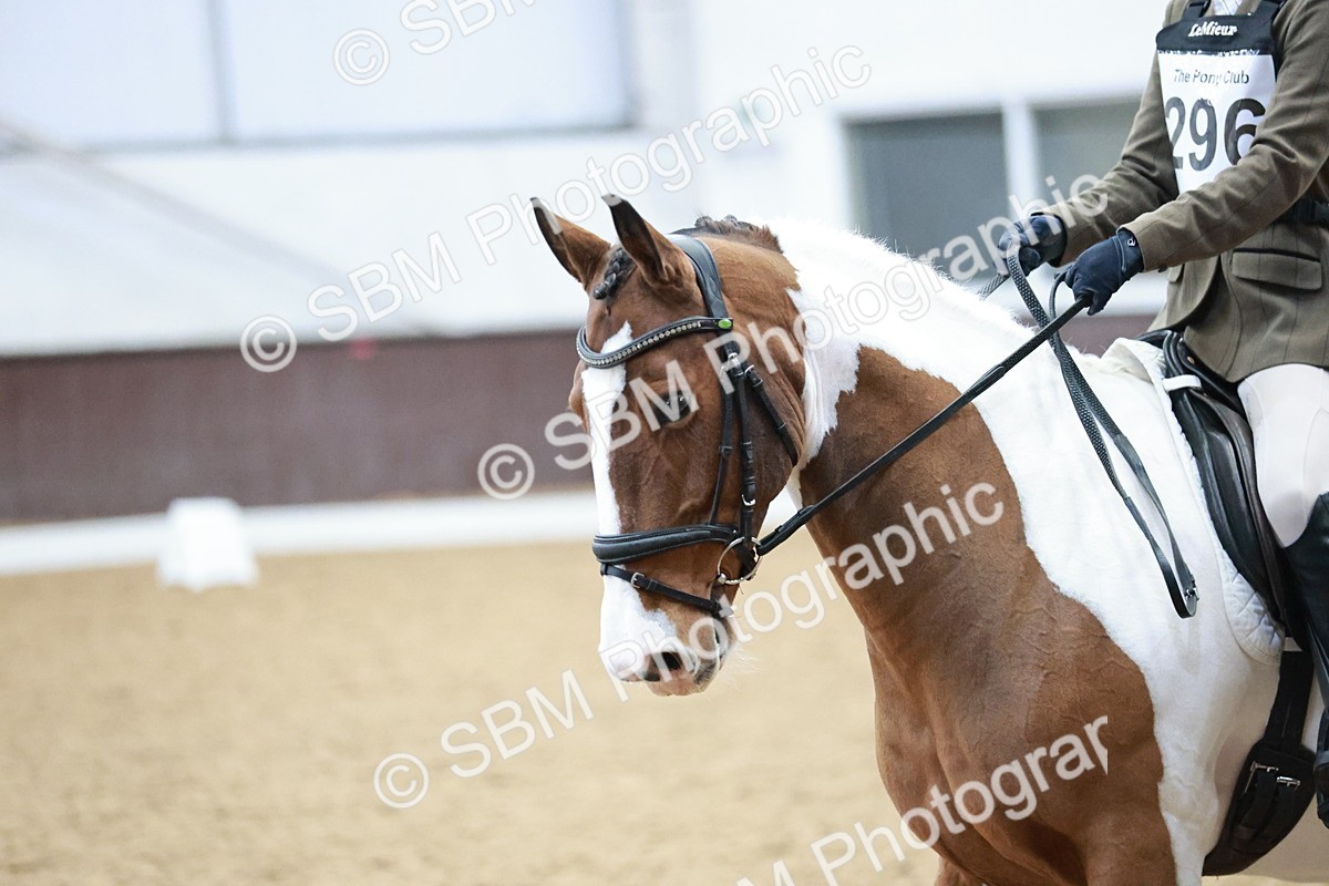 SBM_003935 - Class 2 - Novice 2020